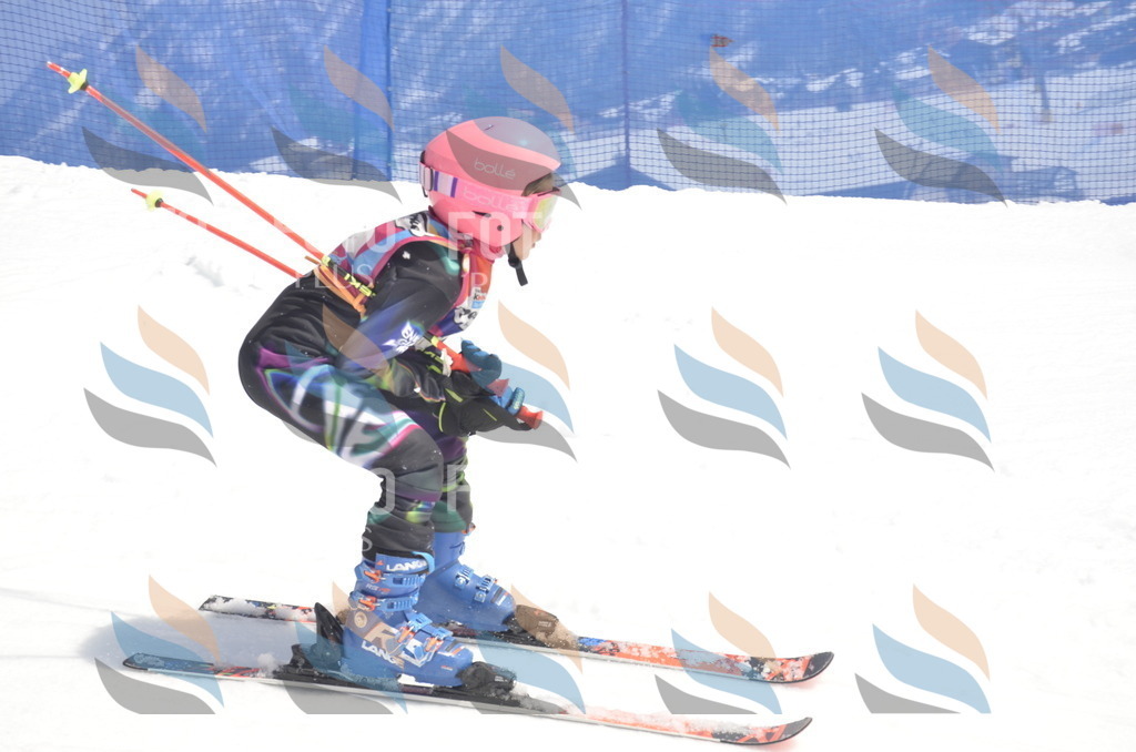 _ELE9200 | holidayphoto