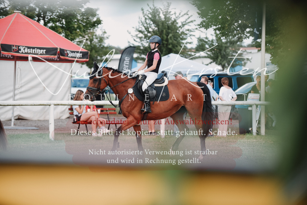 DSC_5613 | Pferde- und Turnierfotografie in Westsachsen. Pferdeportraits, Auftragszeichnungen und intuitive Kunst.