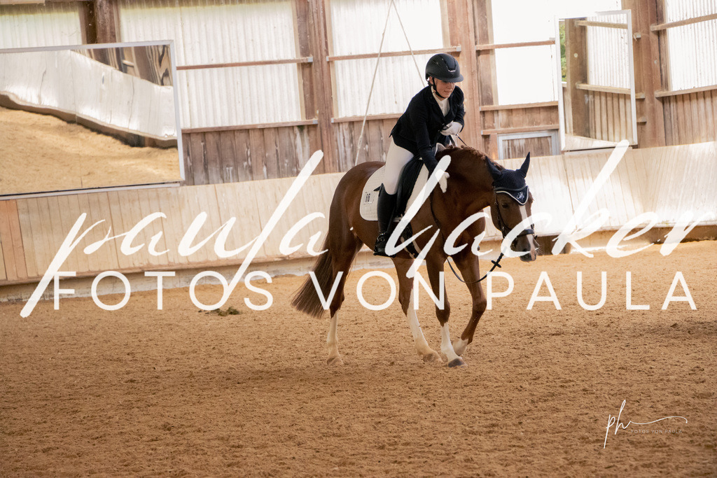 IMG_5198 | Erleben Sie dynamische Sport- und emotionale Tierfotografie in Süddeutschland mit Fotos von Paula. Spezialisiert auf Pferde- und Hundefotografie sowie Sportevents. Kontaktieren Sie mich für einzigartige und ausdrucksstarke Bilder Ihrer besonderen Momente. - Realisiert mit Pictrs.com