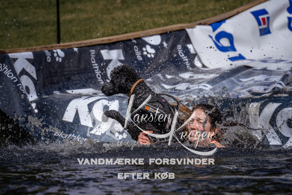 _ZZ933410937 | kk-dogfotos