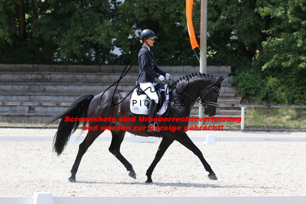 IMG_4765 | lmwpictures - Realisiert mit Pictrs.com