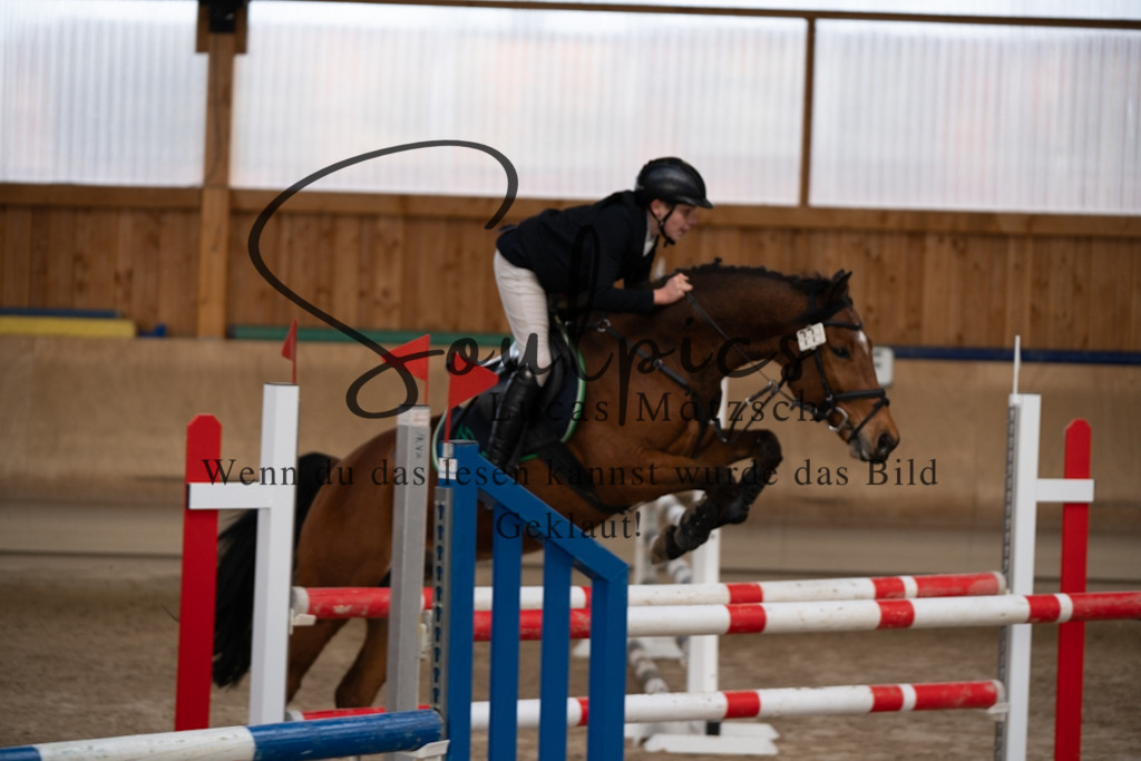 A7V00937 | Pferdefotograf