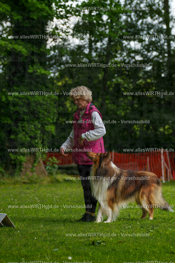@allesWIRTHgut_Tierfotografie - www.allesWIRTHgut.de - 095001-7R507683 | Professionelle Tierfotografie in Mönchengladbach von Daniel Wirth (allesWIRTHgut). Liebevolle & natürliche Bilder von Hunden & Katzen für unvergessliche Erinnerungen.