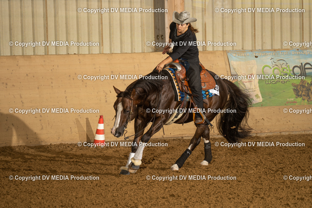 LAU00426 | dv-media-shop - Realisiert mit Pictrs.com