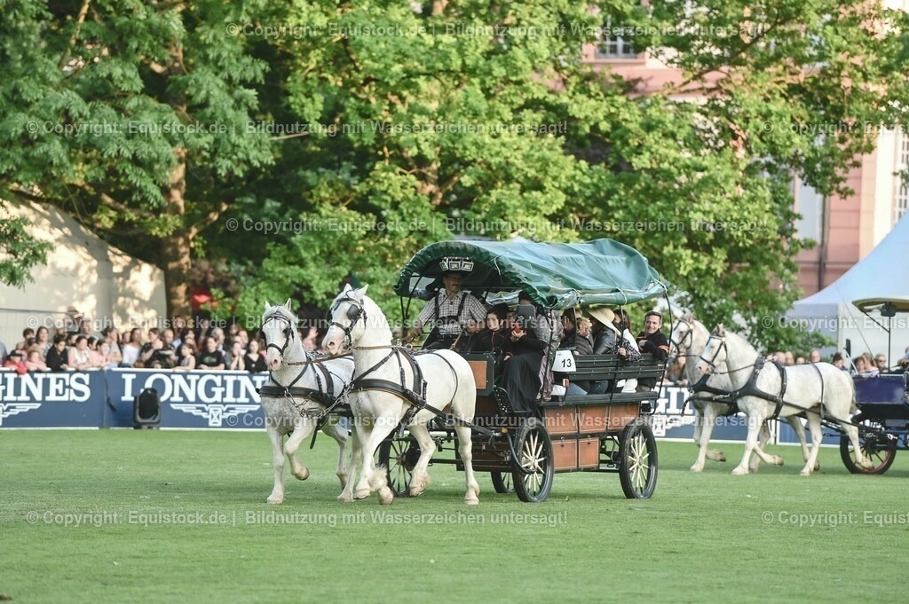 20230526_Pferdenacht_0217 | equistock