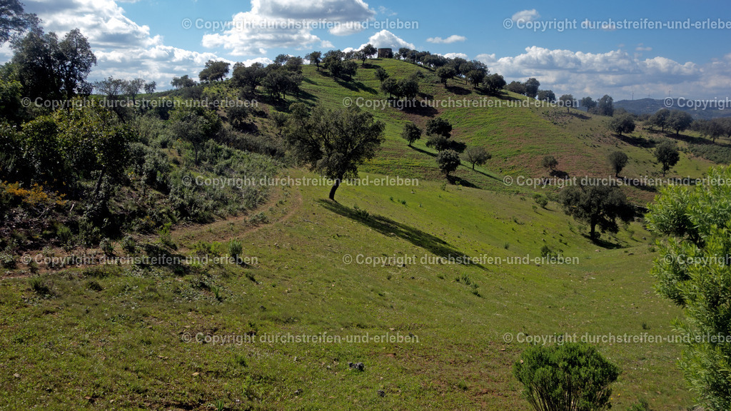 Blick auf alte Windmühle nahe Vermelhos, Serra do Caldeirão, Algarve | Blick auf alte Windmühle nahe Vermelhos, Serra do Caldeirão, Algarve - Realisiert mit Pictrs.com