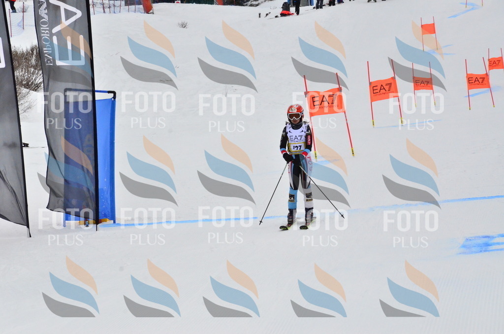 _ELE3751 | holidayphoto