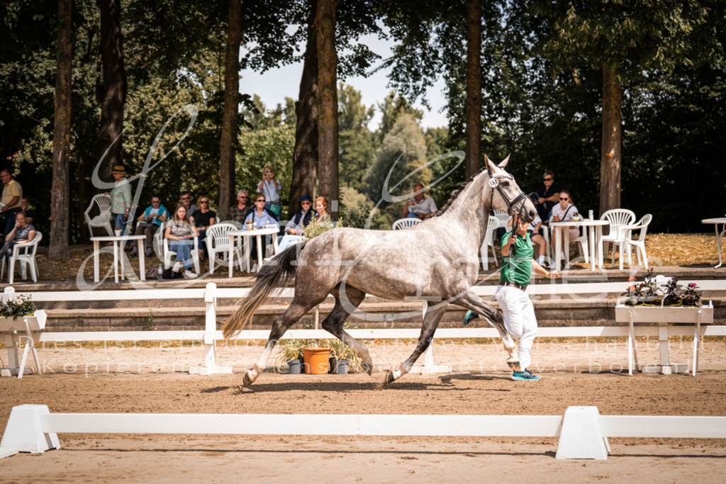 1.Fr00065 | Leoni Ertmer Photography - Realisiert mit Pictrs.com