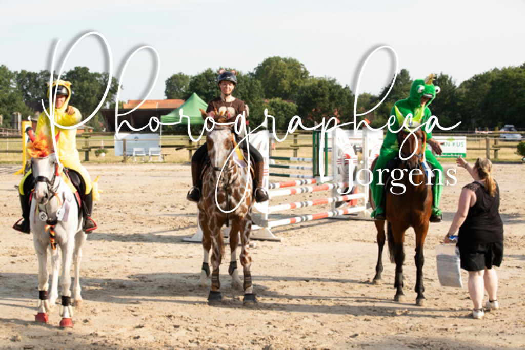 IMG_3719 | photographesa-joergens - Realisiert mit Pictrs.com