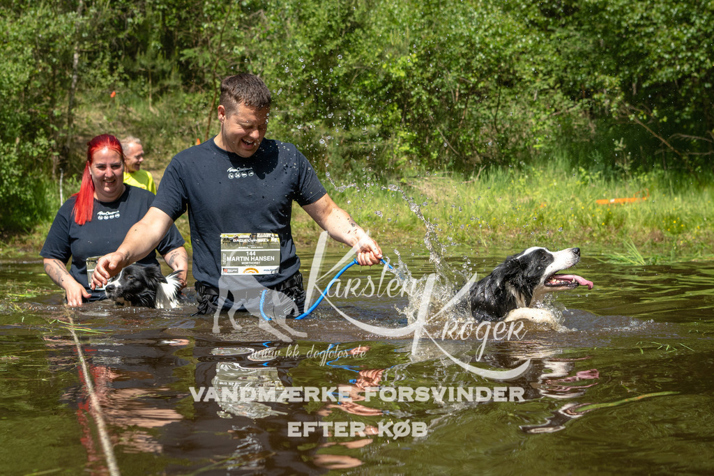 1213DKK992213 | kk-dogfotos