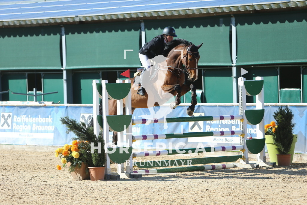 DL2Q1269 | Willkommen bei Brunnmayr - Design & Fotografie – Ihrem Spezialisten für Reitturniere und Pferdeveranstaltungen in Oberösterreich, Salzburg und Bayern! Seit über 17 Jahren sind wir leidenschaftlich dabei.