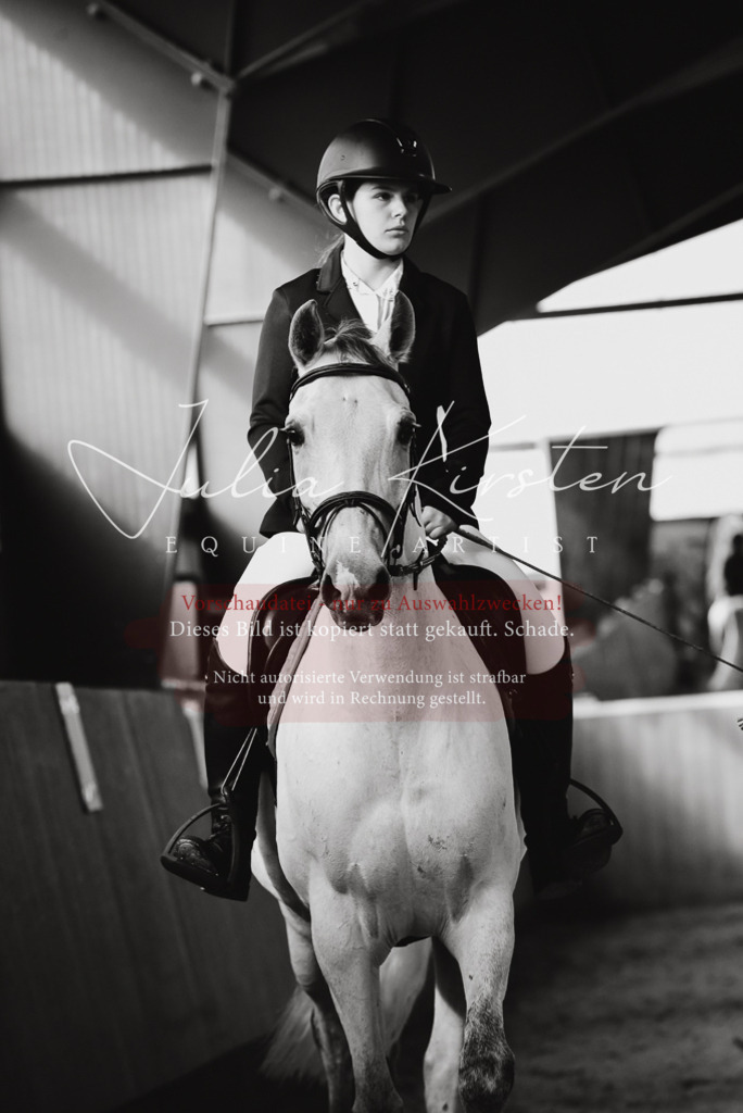 DSC_7413-2 | Pferde- und Turnierfotografie in Westsachsen. Pferdeportraits, Auftragszeichnungen und intuitive Kunst.