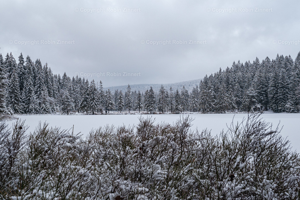 Fichtelsee_Winter00017 | Robin Zinnert - Realisiert mit Pictrs.com