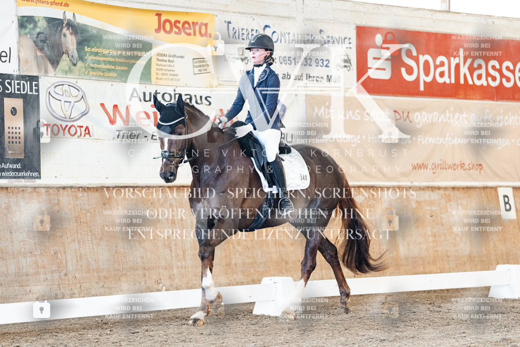 CK906878 | Turnierfotografie Pferdefotografie Trier Rheinland-Pfalz Pferdesport Reitsport Tierfotografie Sportfotografie Pferdevideo Pferdevideografie Equestrianvideography equestrianphotography  - Realisiert mit Pictrs.com