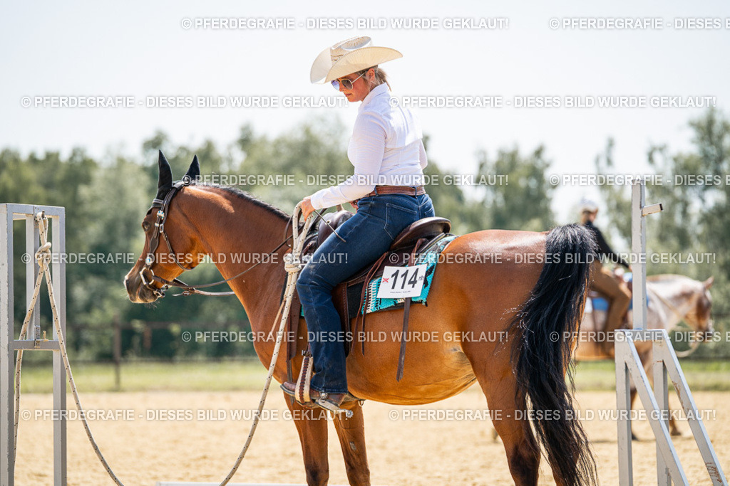 DSC00502 | Pferdegrafie