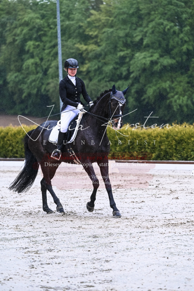 DSC_4514 | Pferde- und Turnierfotografie in Westsachsen. Pferdeportraits, Auftragszeichnungen und intuitive Kunst.