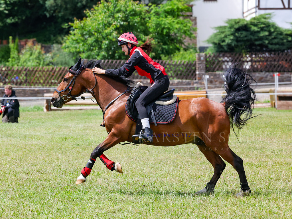 1B3A2337 | Reitsport Reiten
