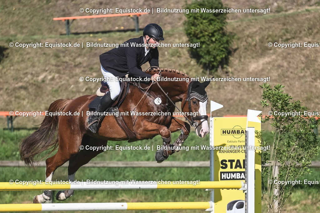 20230908_14-15_Springpferde-A_0093 | equistock