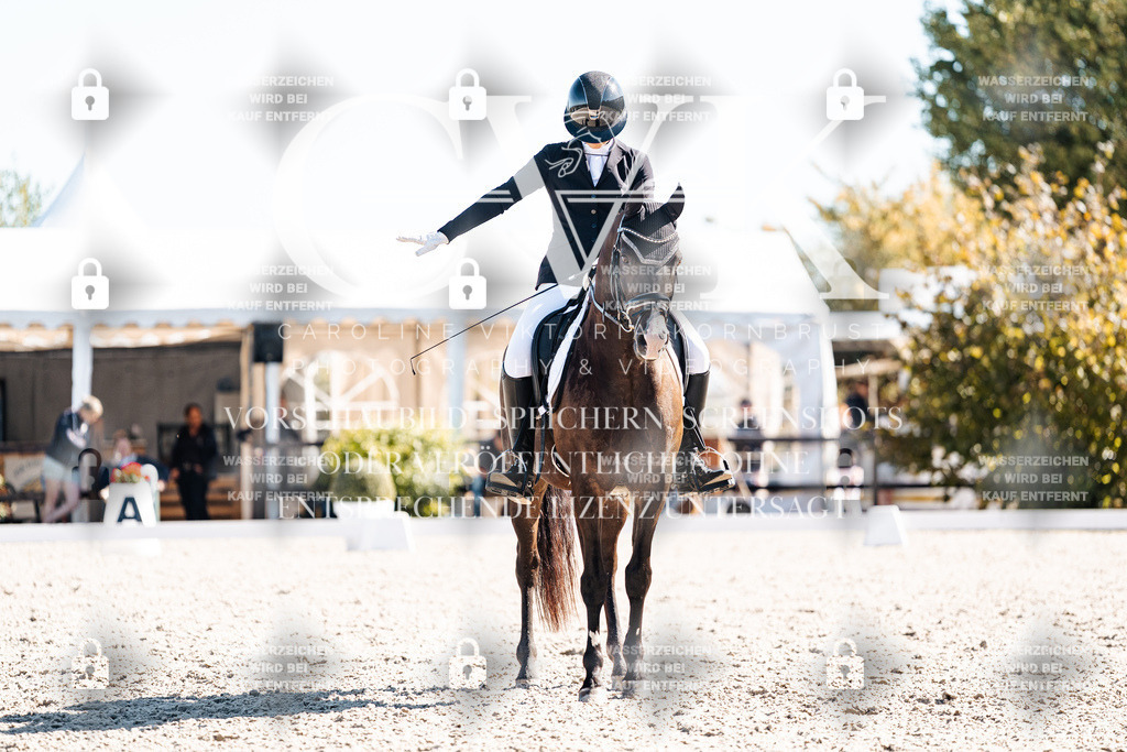 CK909023 | Turnierfotografie Pferdefotografie Trier Rheinland-Pfalz Pferdesport Reitsport Tierfotografie Sportfotografie Pferdevideo Pferdevideografie Equestrianvideography equestrianphotography  - Realisiert mit Pictrs.com