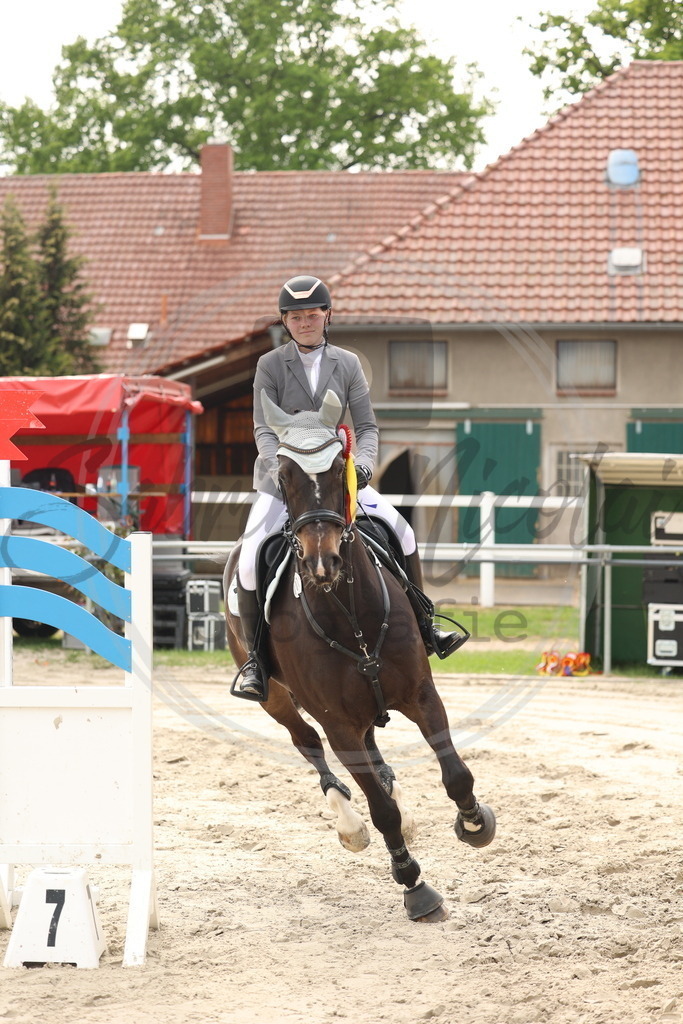 994A8232 | sabrinanicolaifotografie - Realisiert mit Pictrs.com