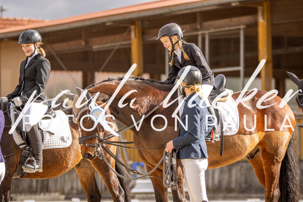 IMG_3863 | Erleben Sie dynamische Sport- und emotionale Tierfotografie in Süddeutschland mit Fotos von Paula. Spezialisiert auf Pferde- und Hundefotografie sowie Sportevents. Kontaktieren Sie mich für einzigartige und ausdrucksstarke Bilder Ihrer besonderen Momente. - Realisiert mit Pictrs.com