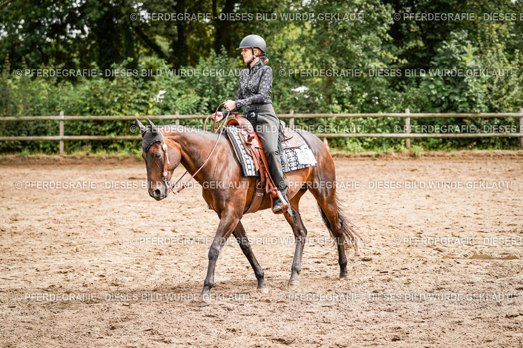 DSC04790 | Pferdegrafie