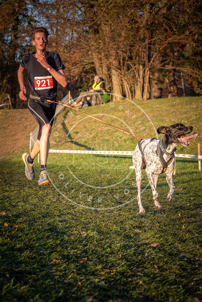 CaniXpix_0L8A1619 | Hundefotografie, Tierfotograf, Pfotenfotografie, Fotoshooting Hund, Hunde Portrait, Hundesport, Hundeportraits, Heideshooting, Hunde, Sportfotograf, Hundefotograf, Turnierhundsport, THS,  - Realisiert mit Pictrs.com