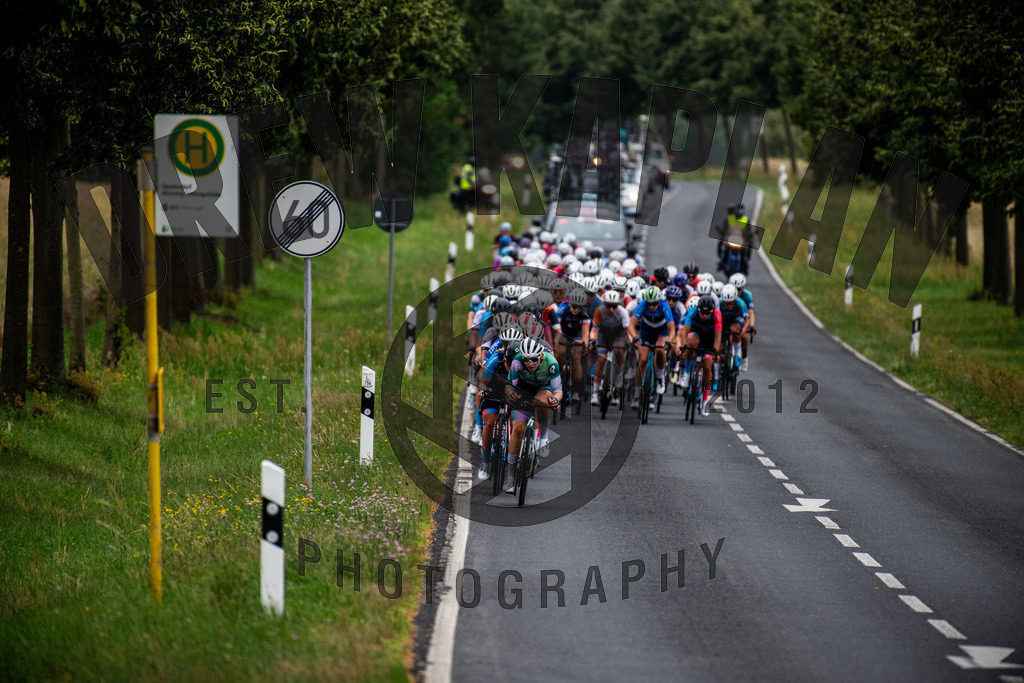 _DKP8288 | Drew Kaplan Photography