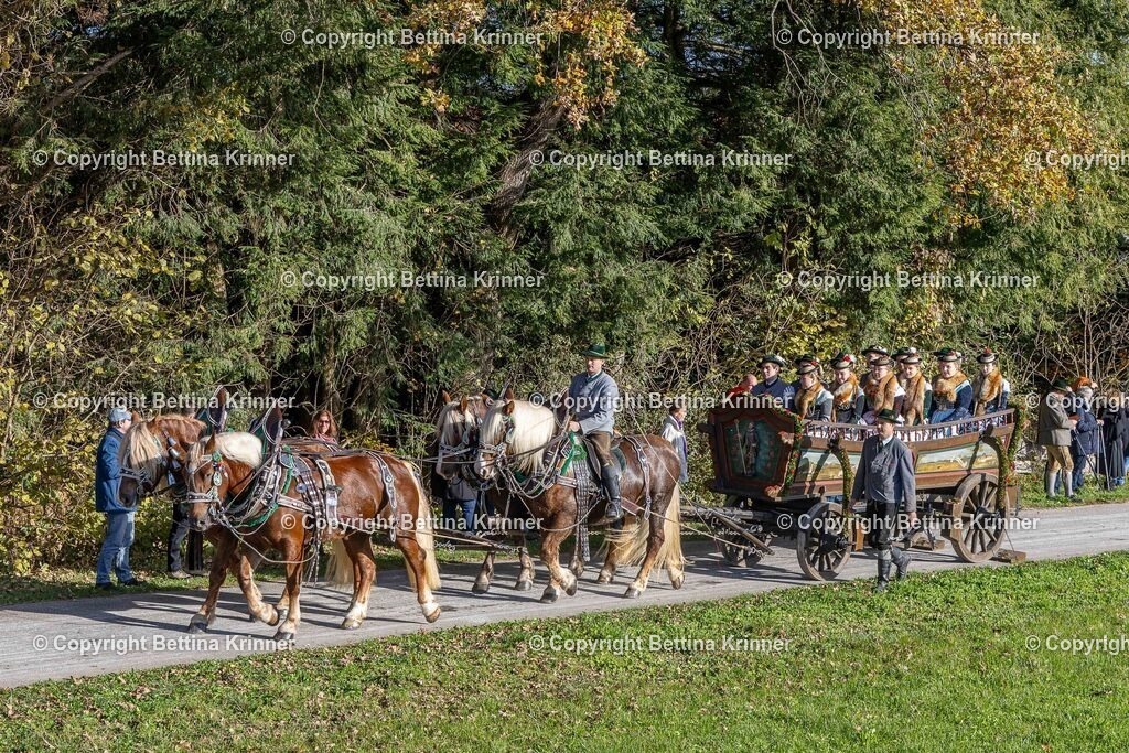 LBT24-491 | foto-bettina-krinner - Realisiert mit Pictrs.com
