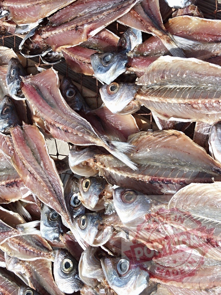 Dried fish drying on rack under sun | Fish split and salted, drying naturally under the sun, a traditional preservation method - Realisiert mit Pictrs.com
