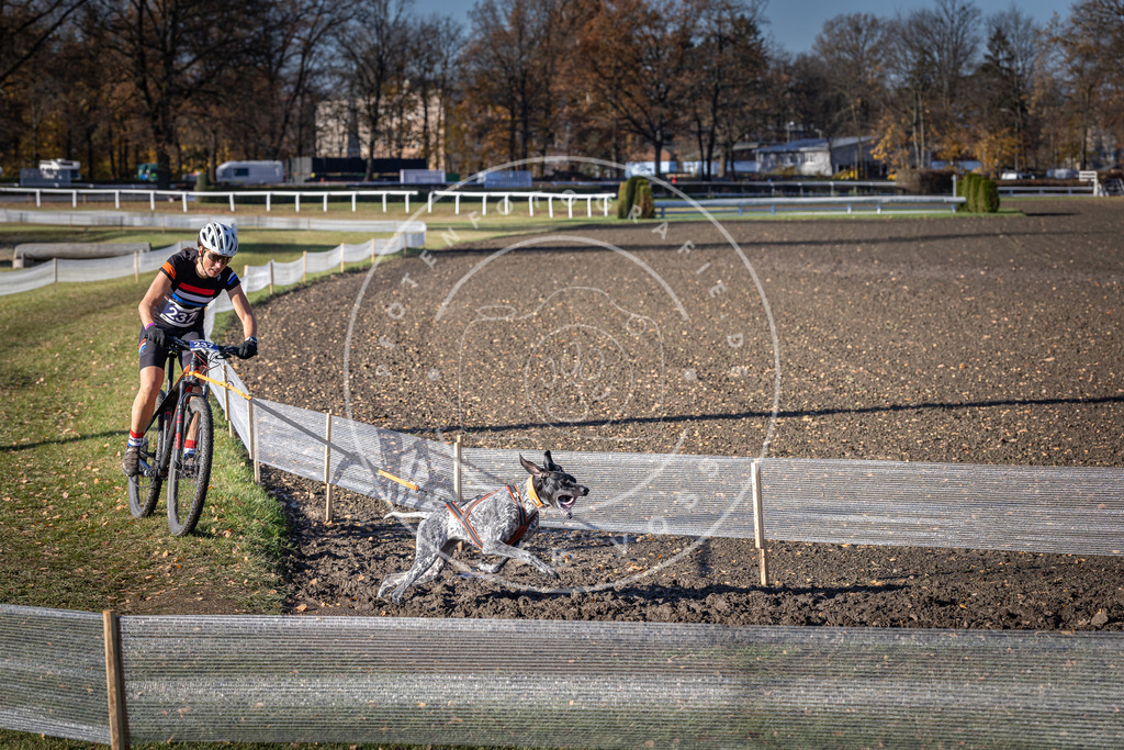 CaniXpix_DV3A4106 | Hundefotografie, Tierfotograf, Pfotenfotografie, Fotoshooting Hund, Hunde Portrait, Hundesport, Hundeportraits, Heideshooting, Hunde, Sportfotograf, Hundefotograf, Turnierhundsport, THS,  - Realisiert mit Pictrs.com