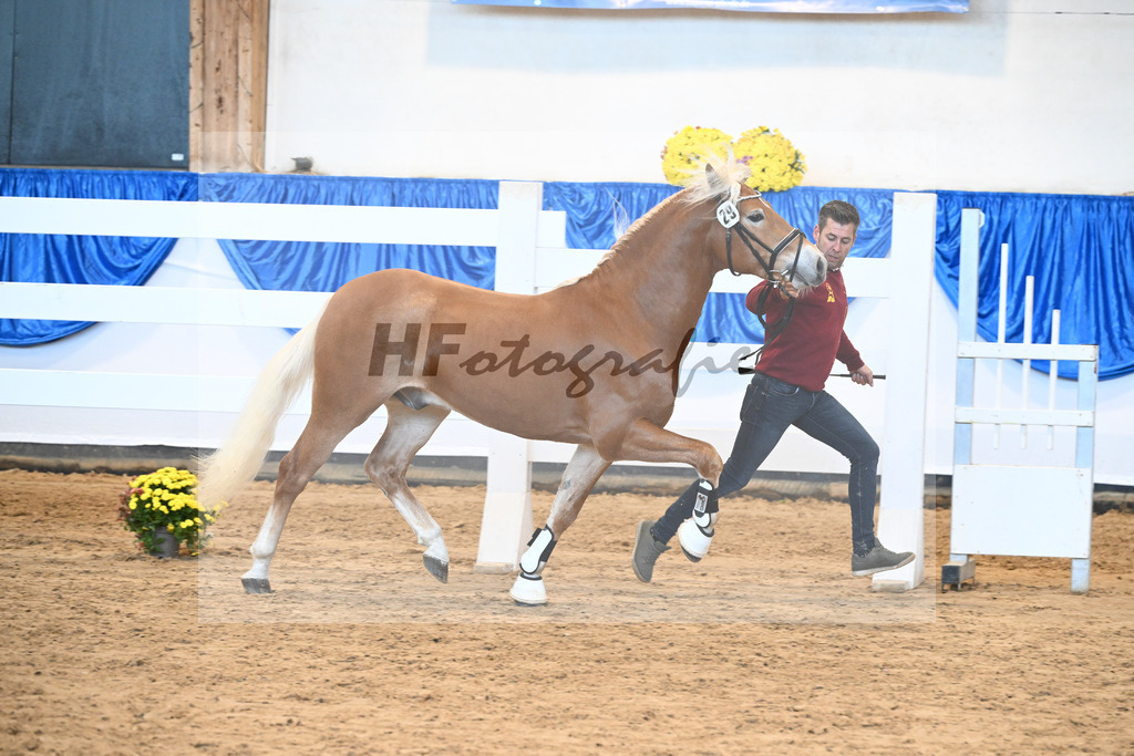 Kat-Nr. 29 nn v. Nio_Carreno-Erdmann_48250643 | hf-fotografie - Realisiert mit Pictrs.com