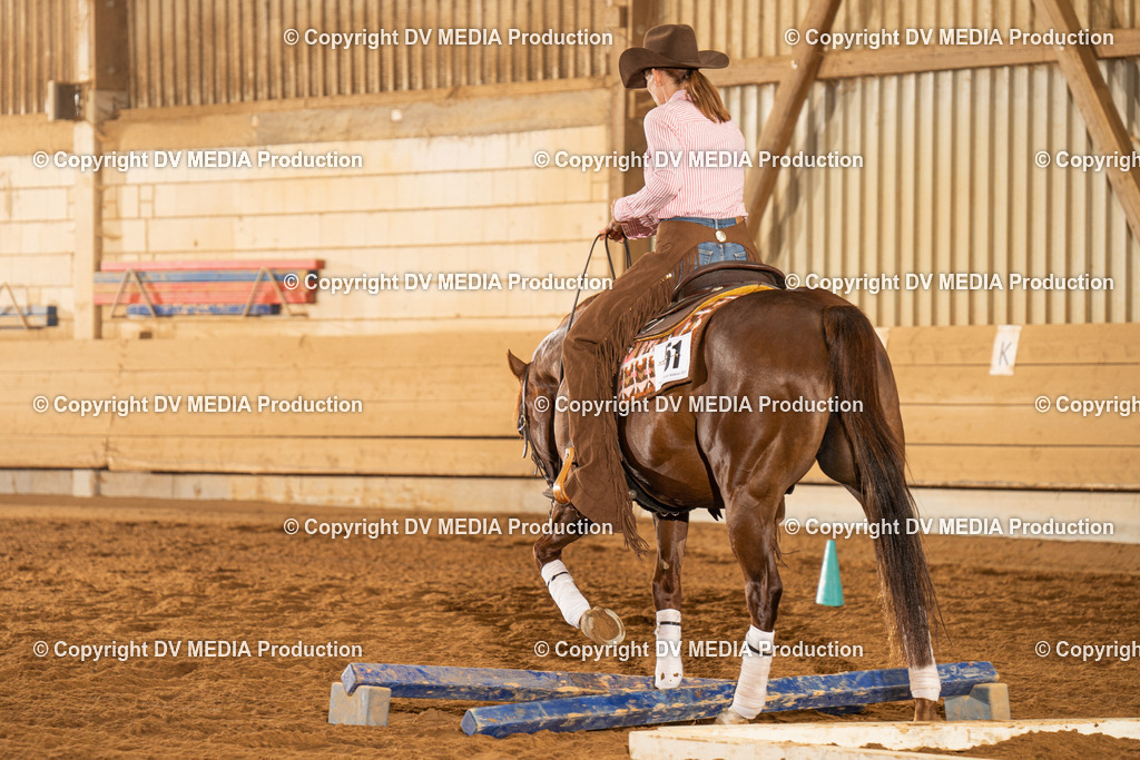 NID01252 | dv-media-shop - Realisiert mit Pictrs.com