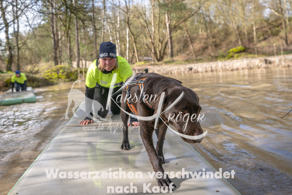 1000_ZZ92154 | kk-dogfotos