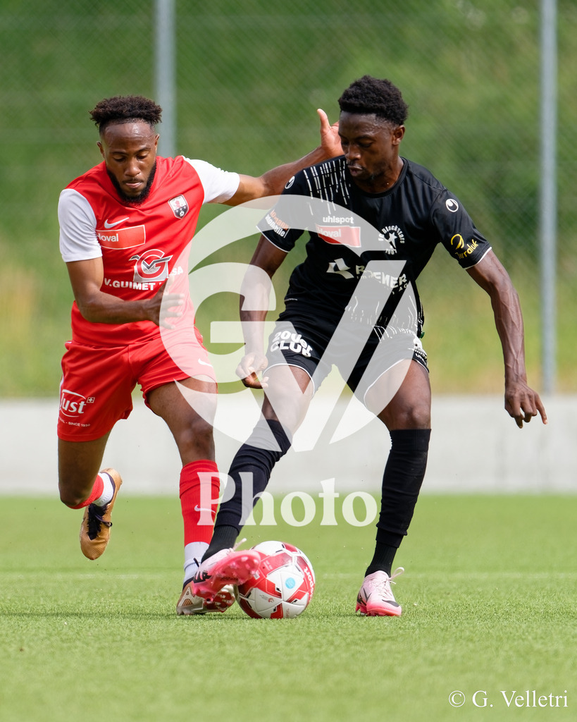 DSC_7524 | Velletri Photo