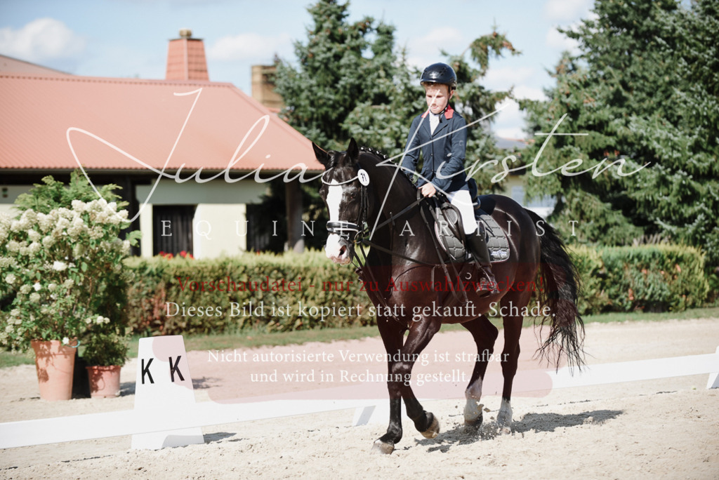 DSC_9899 | Pferde- und Turnierfotografie in Westsachsen. Pferdeportraits, Auftragszeichnungen und intuitive Kunst.