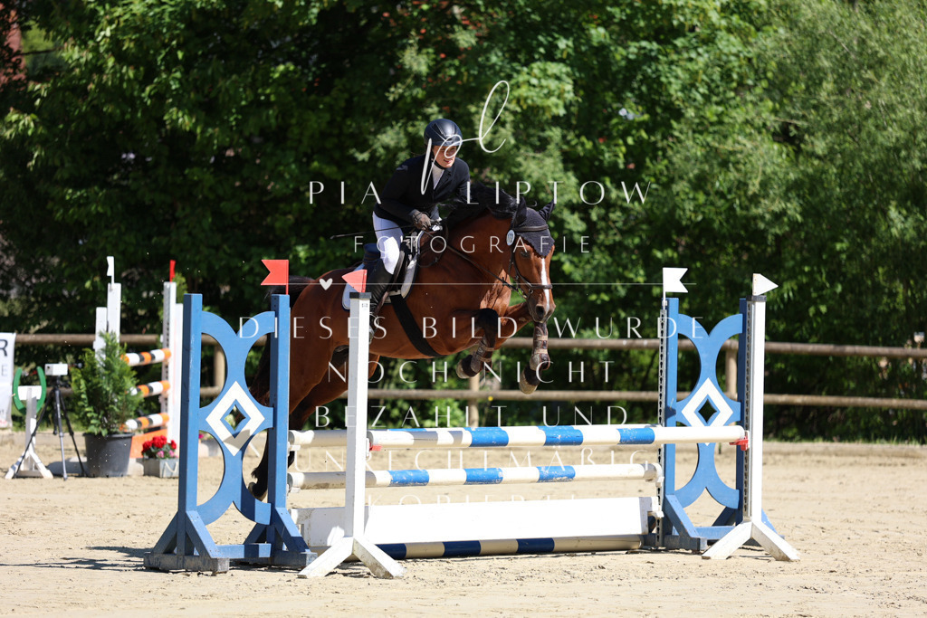 IMGS7230 | pl-fotografie