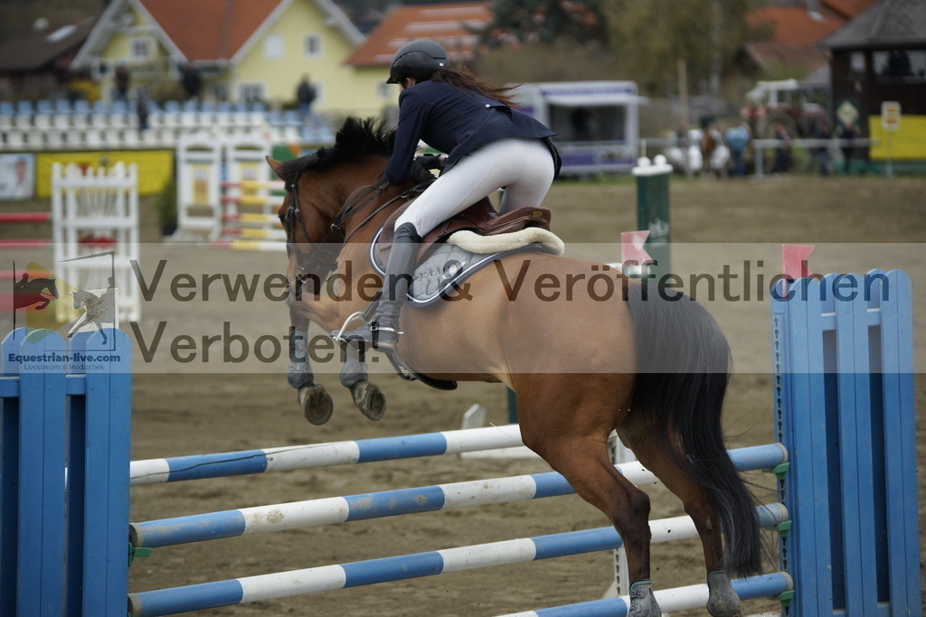 _DSC7330 | equestrian-live-com