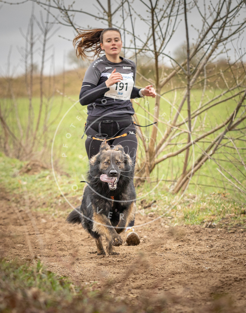 DV3A2179 | Hundefotografie, Tierfotograf, Pfotenfotografie, Fotoshooting Hund, Hunde Portrait, Hundesport, Hundeportraits, Heideshooting, Hunde, Sportfotograf, Hundefotograf, Turnierhundsport, THS,  - Realisiert mit Pictrs.com