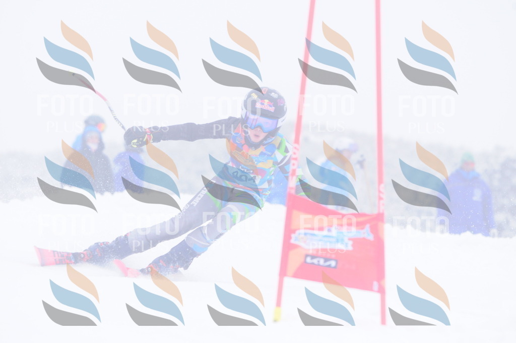 C4247 | holidayphoto