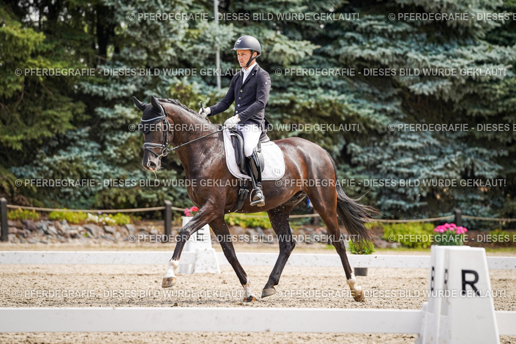 DSC00131 | Pferdegrafie