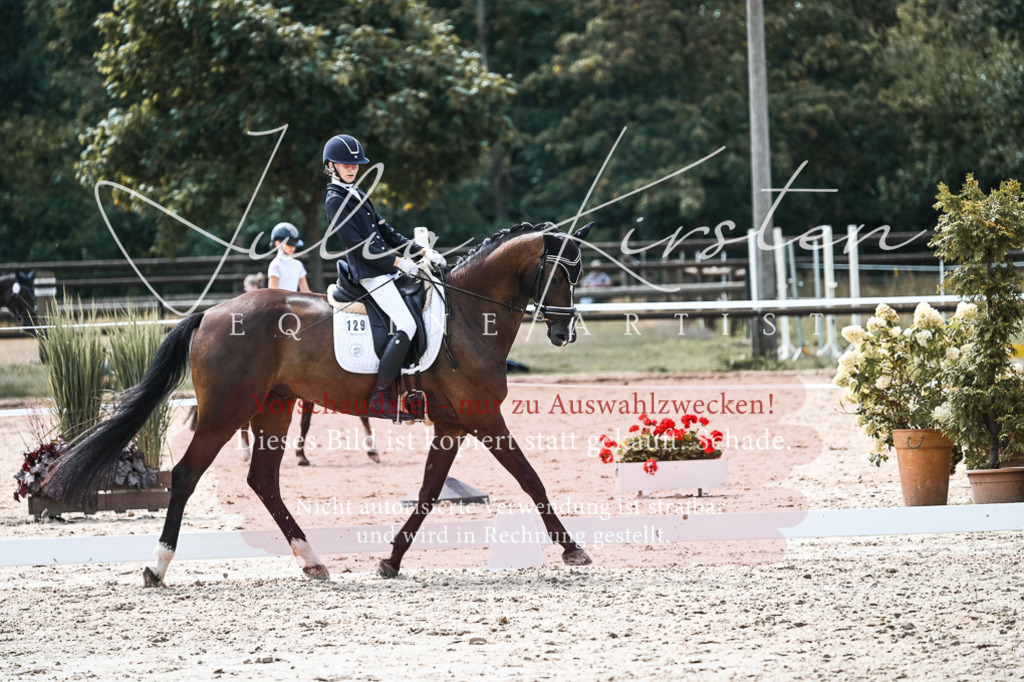 DSC_5192 | Pferde- und Turnierfotografie in Westsachsen. Pferdeportraits, Auftragszeichnungen und intuitive Kunst.