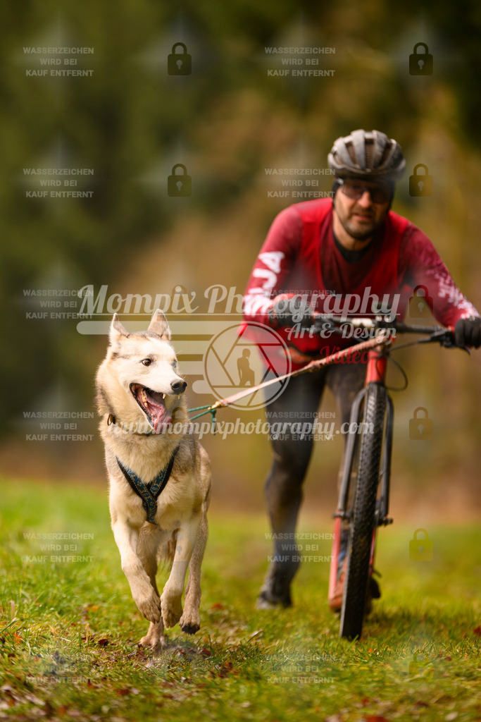 MompixPhotography_2SSTSSBW_2025_SO_Scooter-23 | PayLife