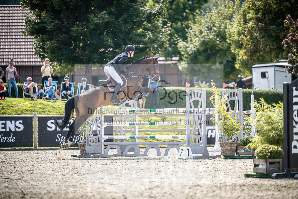 DOS_8201 | Entdecke hochwertige Reitturnierfotos von Foto Oger. Professionell, emotional und authentisch – jetzt Lieblingsmomente im Shop bestellen.Deutschlandweite Turnierfotografie. - Realisiert mit Pictrs.com