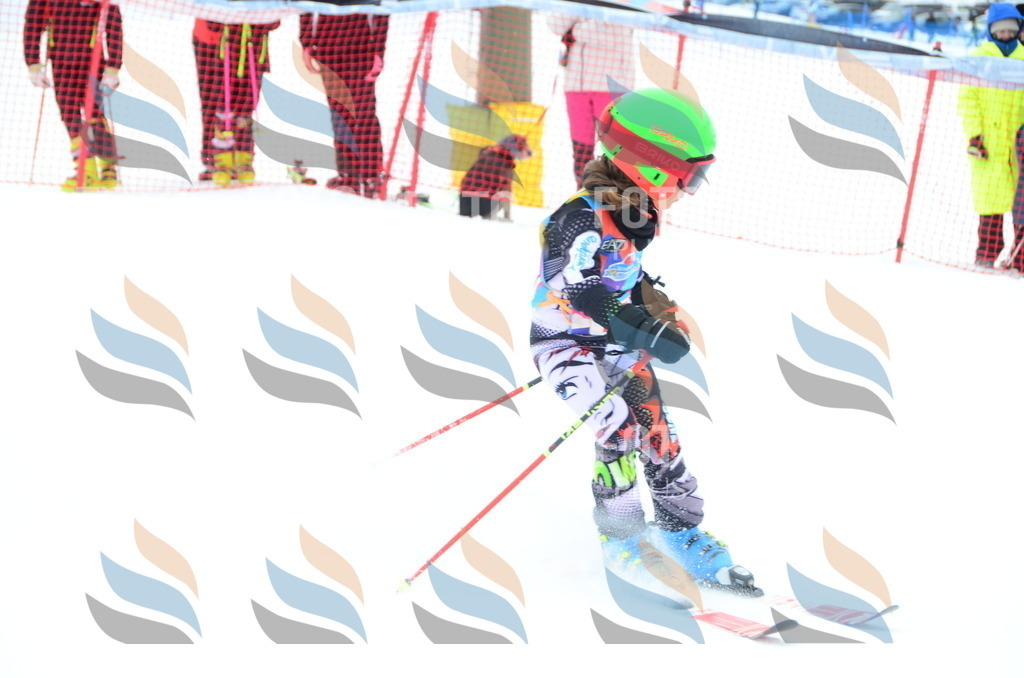 DSC_1600 | holidayphoto