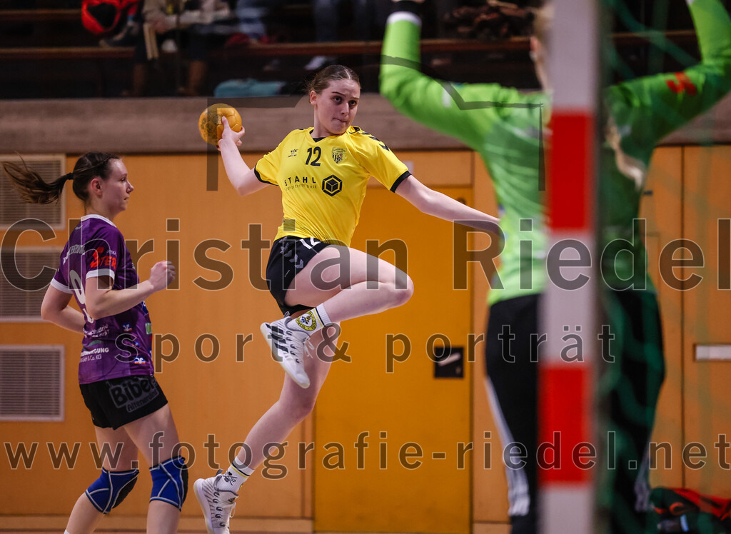 2025-01-11_073_SpVgg_Altenerding_gegen_HF_Scheyern | Erding, Deutschland, 11.01.2025:Handball, Bezirksoberliga Frauen Altbayern 2024 / 2024, 10. Spieltag, SpVgg Altenerding gegen HF Scheyern, Endergebnis: 20:23Julia Kranich (SpVgg Altenerding, #9), Carina Heimbach (HF Scheyern, #21), Torfrau Hanna Obermair (SpVgg Altenerding, #1)Foto: Christian Riedel / fotografie-riedel.net