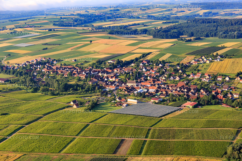 Aerial view: View of the town from the northwest in Steinseltz in the state Bas-Rhin, France. – Photo: IMG_089949.jpg taken on 06/26/2016 by Werner Riehm/FLY-FOTO.com – Resolution of the original: 5472 x 3648 px