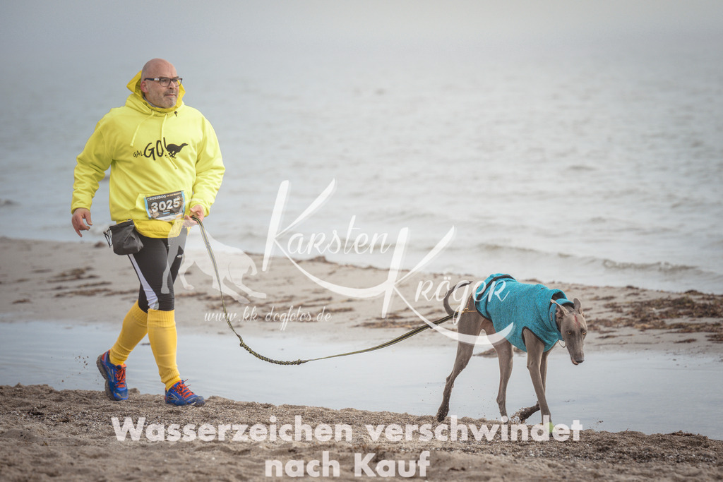 1134_ZZ99475 | kk-dogfotos