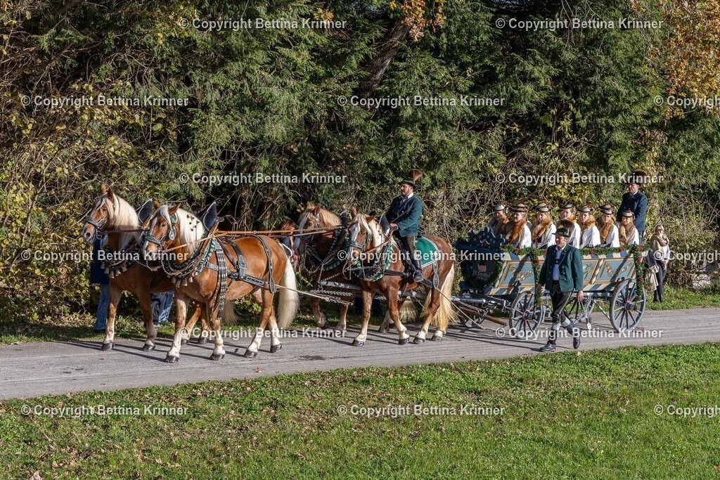 LBT24-297 | foto-bettina-krinner - Realisiert mit Pictrs.com
