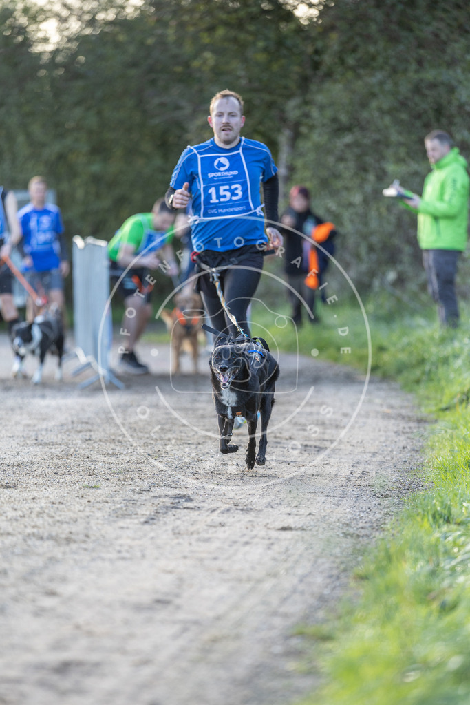 Pfotenfotografie.de_DV3A2702 | Hundefotografie, Tierfotograf, Pfotenfotografie, Fotoshooting Hund, Hunde Portrait, Hundesport, Hundeportraits, Heideshooting, Hunde, Sportfotograf, Hundefotograf, Turnierhundsport, THS, canicross - Realisiert mit Pictrs.com